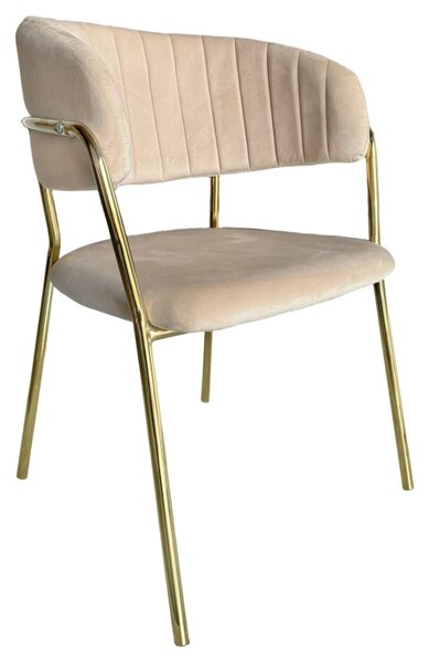 KONDELA Design étkezőszék, bézs Velvet szövet/gold króm arany, DASMIN NEW TYP 1