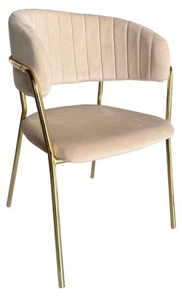 KONDELA Design étkezőszék, bézs Velvet szövet/gold króm arany, DASMIN NEW TYP 1