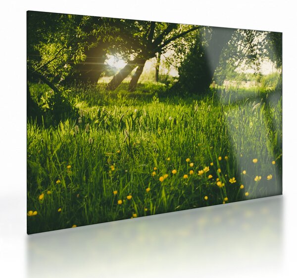 Tájkép - rét (üvegen) (70x50 cm)