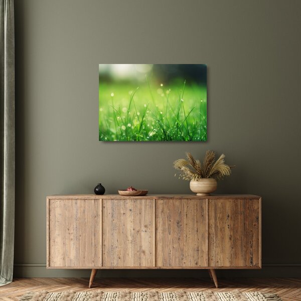 Kép - harmatos fű (üvegen) (70x50 cm)