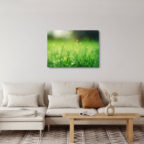Kép - harmatos fű (üvegen) (70x50 cm)