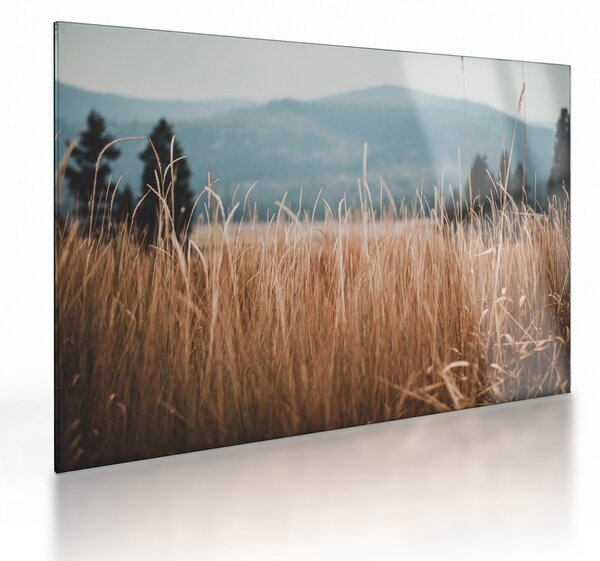 Kép - réti növényzet részlete (üvegen) (70x50 cm)