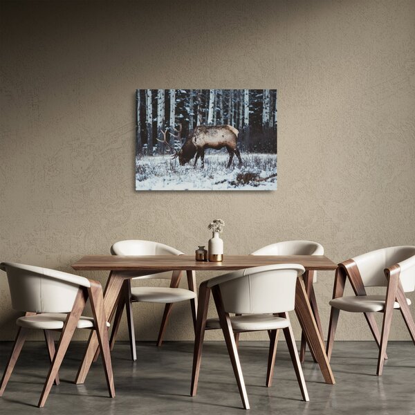 Kép - szarvas télen (üvegen) (70x50 cm)