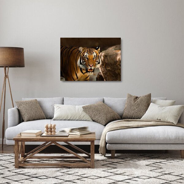 Tigris képe (üvegen) (70x50 cm)