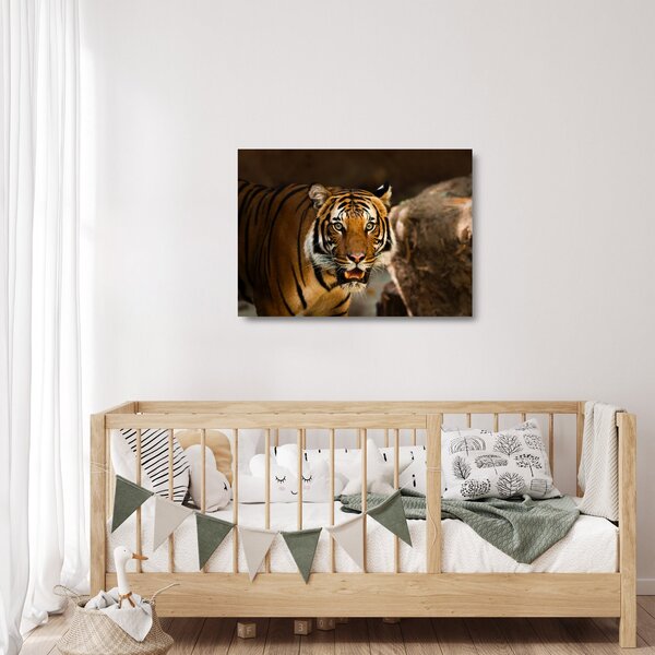 Tigris képe (üvegen) (70x50 cm)