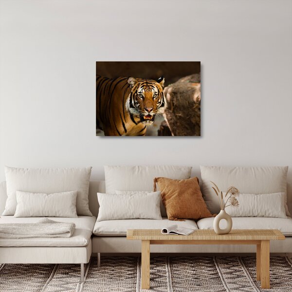 Tigris képe (üvegen) (70x50 cm)