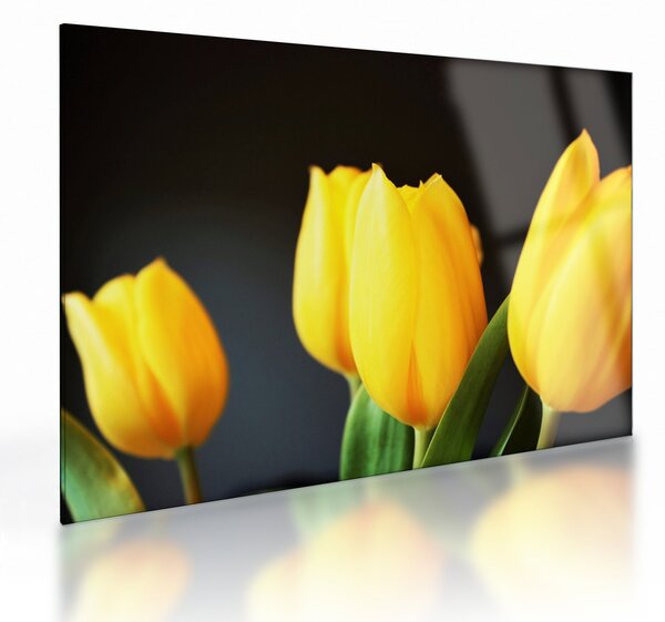 Tulipán képe (üvegen) (70x50 cm)