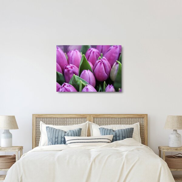 Kép - tulipánok (üvegen) (70x50 cm)