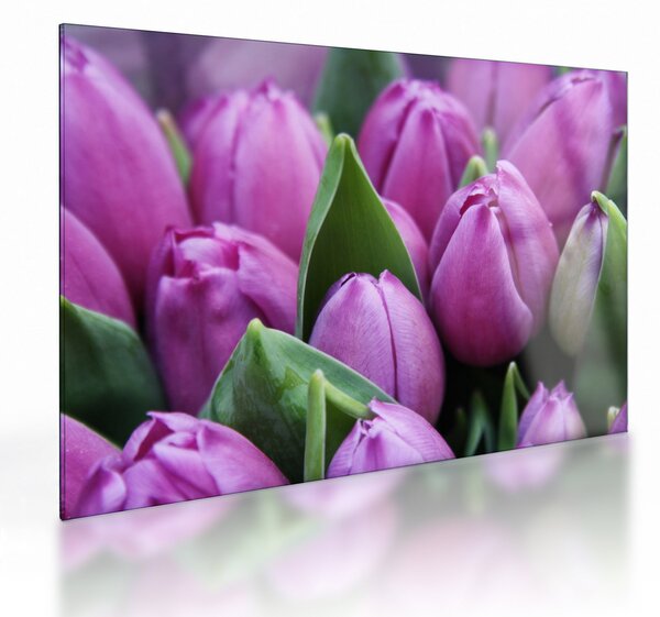 Kép - tulipánok (üvegen) (70x50 cm)