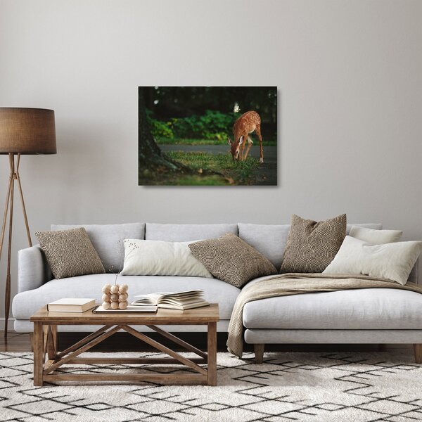 Gida képe (üvegen) (70x50 cm)