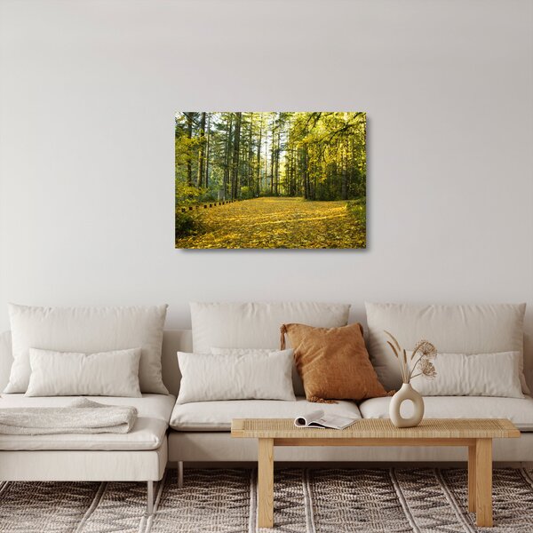 Kép - erdő ősszel (üvegen) (70x50 cm)