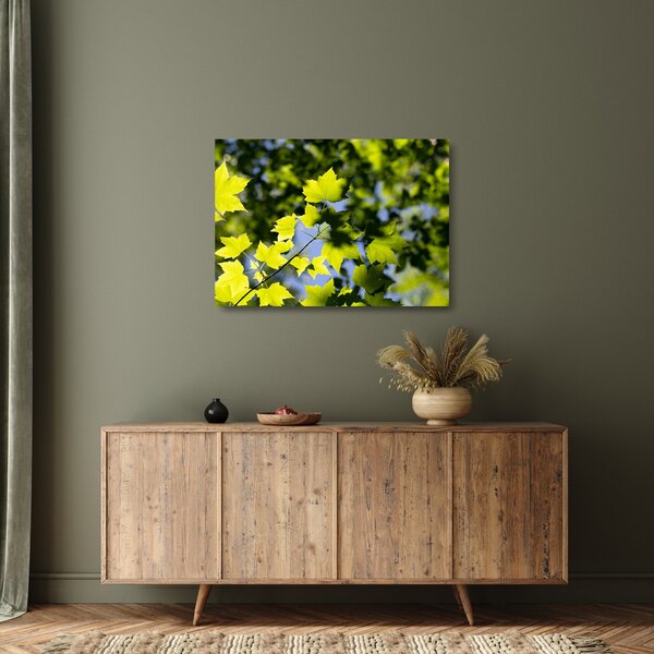 Kép - juhar levelek (üvegen) (70x50 cm)