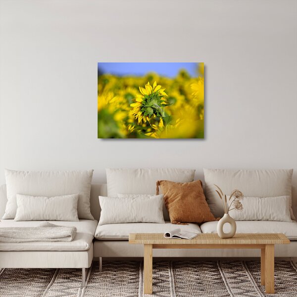Napraforgó képe (üvegen) (70x50 cm)