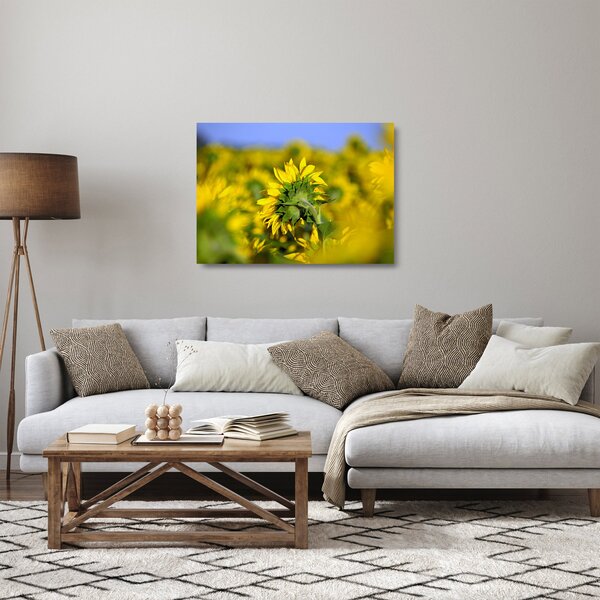 Napraforgó képe (üvegen) (70x50 cm)