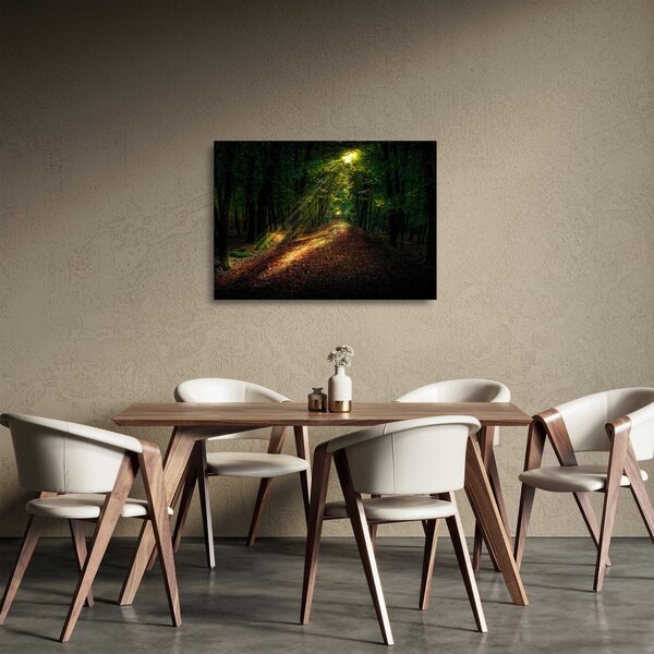 Erdei út képe (üvegen) (70x50 cm)