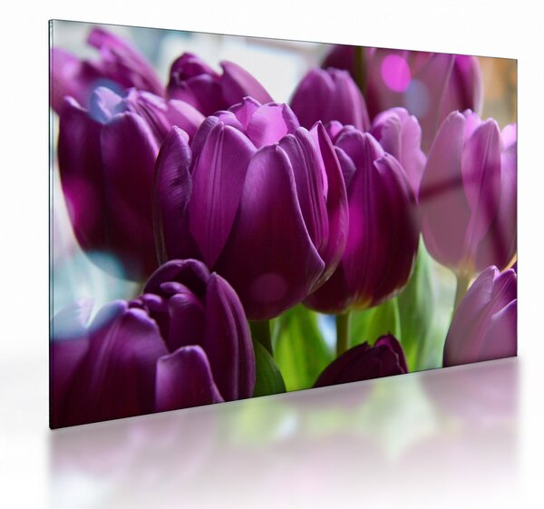 Tulipán képe (üvegen) (70x50 cm)