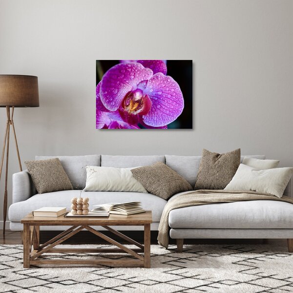 Részletes kép az orchidea virágról (üvegen) (70x50 cm)