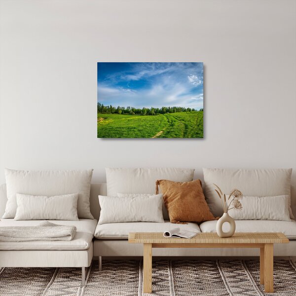 Rét képe (üvegen) (70x50 cm)