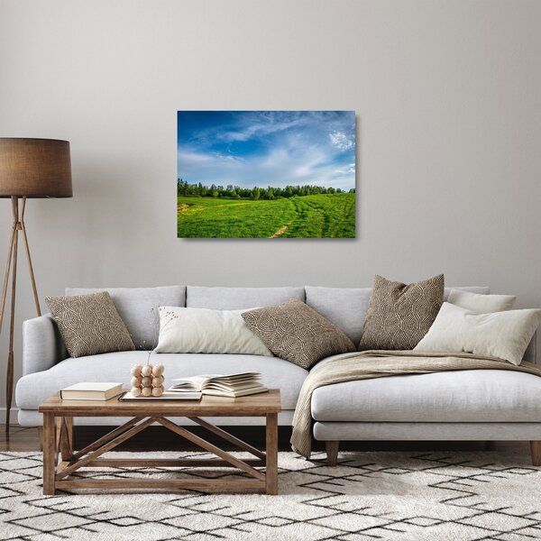 Rét képe (üvegen) (70x50 cm)