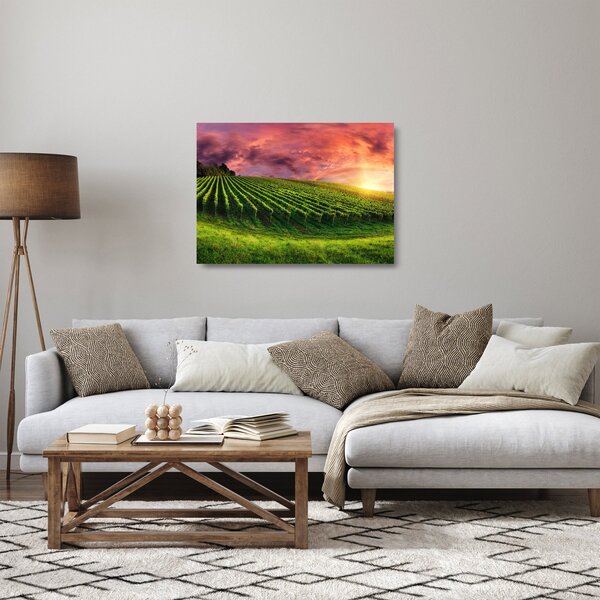 Szőlőskert és a színes égbolt képe (üvegen) (70x50 cm)