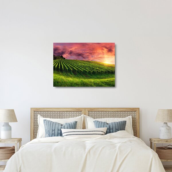 Szőlőskert és a színes égbolt képe (üvegen) (70x50 cm)