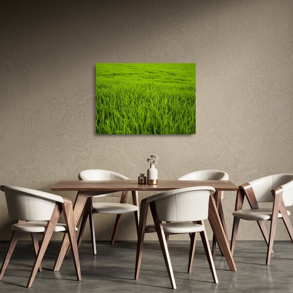 A fű képe (üvegen) (70x50 cm)