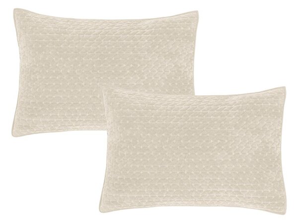 Bársony párnahuzat szett 2 db-os 50x75 cm Attica Velvet Embroidered – Bianca