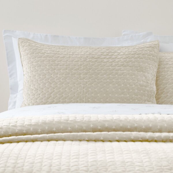 Bársony párnahuzat szett 2 db-os 50x75 cm Attica Velvet Embroidered – Bianca