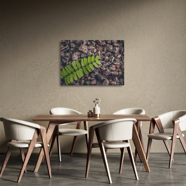 Zöld növények képe (üvegen) (70x50 cm)