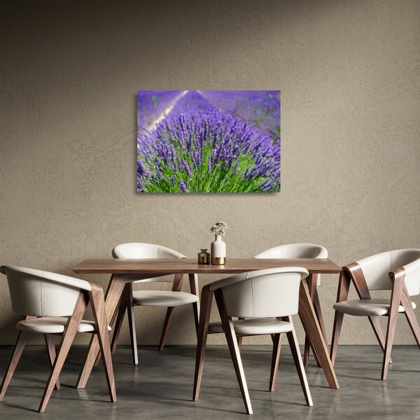 Kép - levandula (üvegen) (70x50 cm)