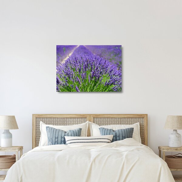 Kép - levandula (üvegen) (70x50 cm)