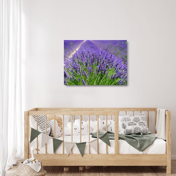 Kép - levandula (üvegen) (70x50 cm)