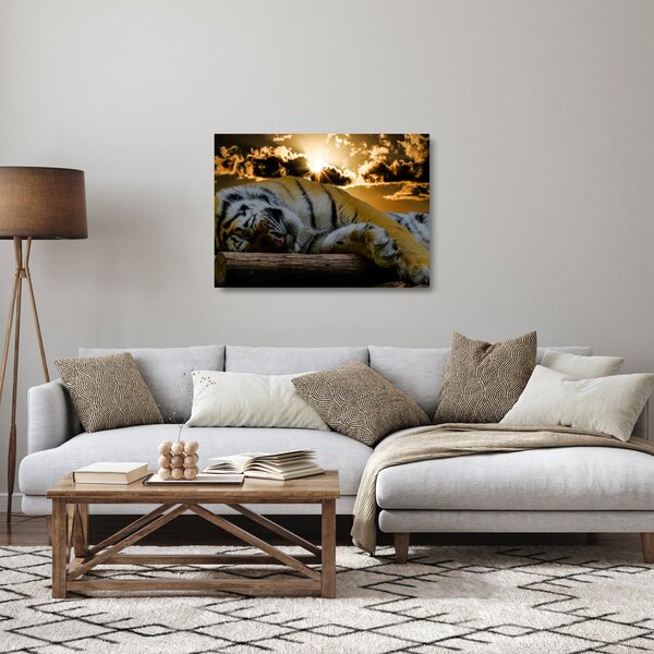 Alvó tigris képe (üvegen) (70x50 cm)