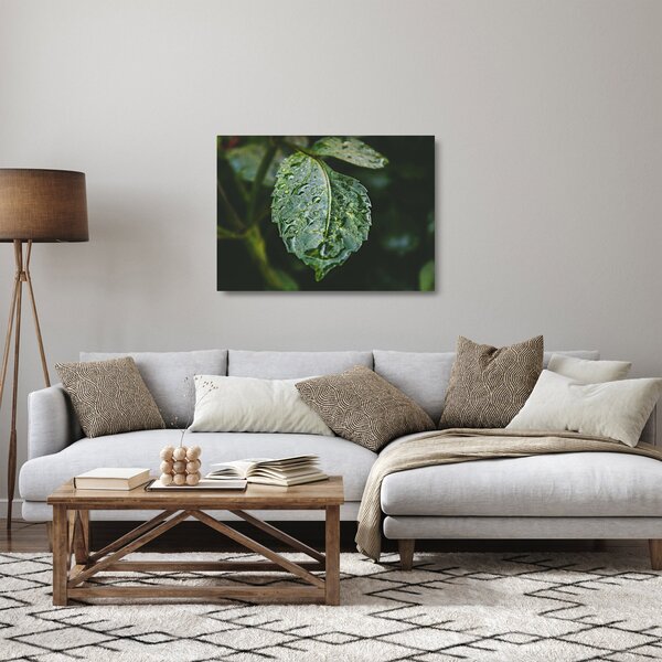 Kép - cseppek a levelen (üvegen) (70x50 cm)