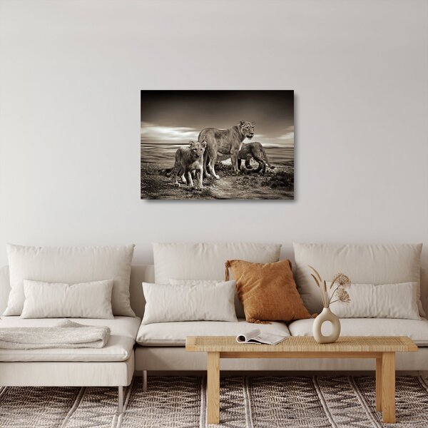 Fekete fehér tigris képe (üvegen) (70x50 cm)