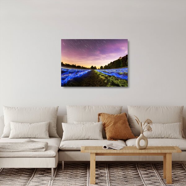 Színes mező képe (üvegen) (70x50 cm)