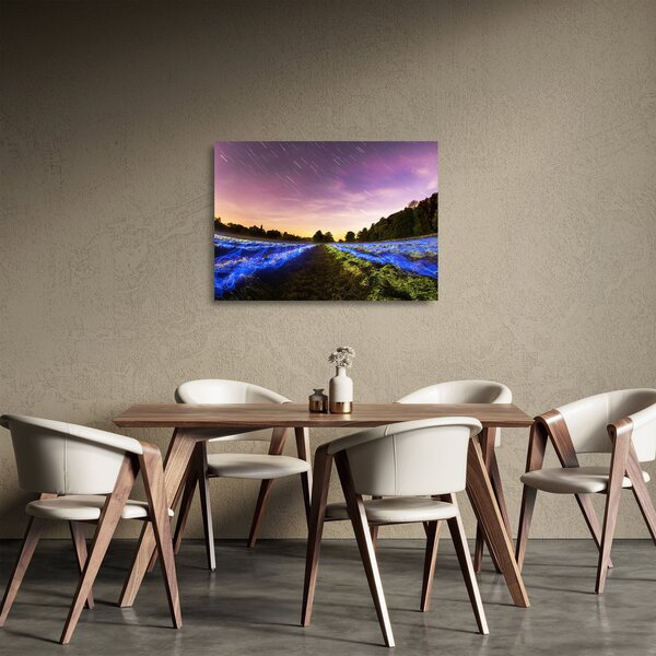 Színes mező képe (üvegen) (70x50 cm)