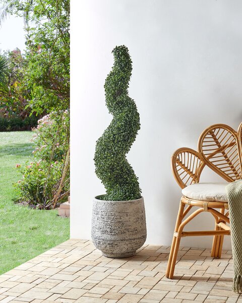 Műnövény BOXWOOD SPIRAL TREE 120 cm Zöld