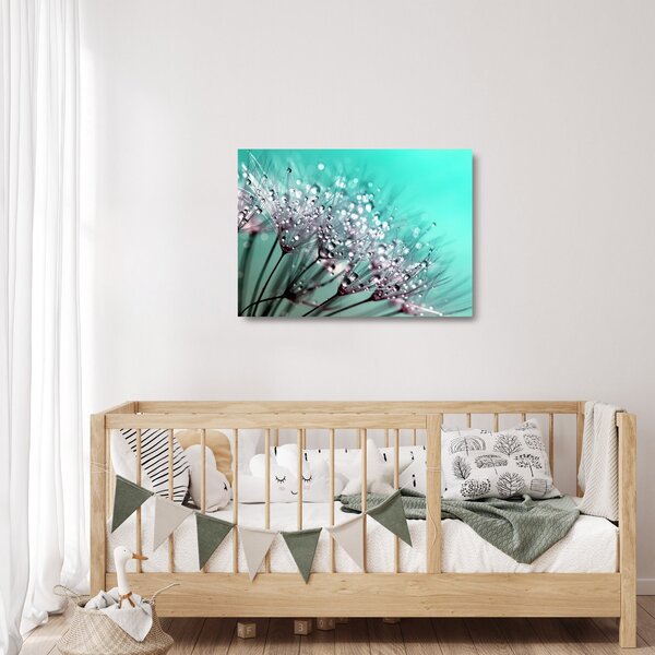 Kép - harmatos növény (üvegen) (70x50 cm)