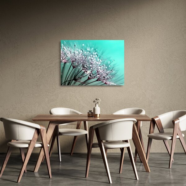 Kép - harmatos növény (üvegen) (70x50 cm)