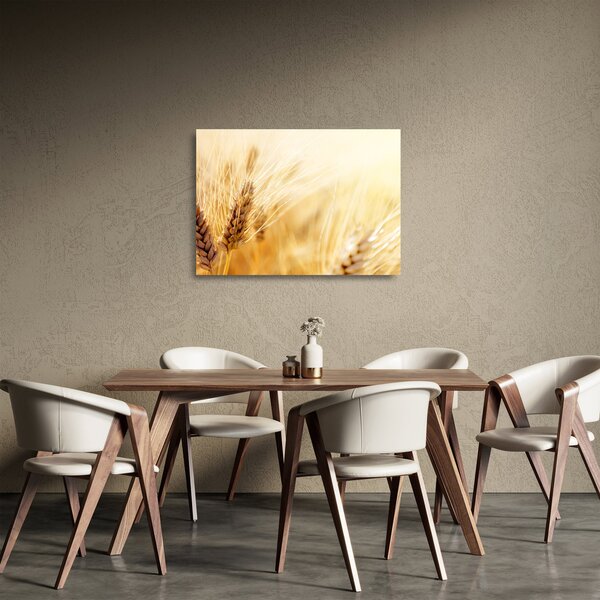 Kép - részlet gabona (üvegen) (70x50 cm)