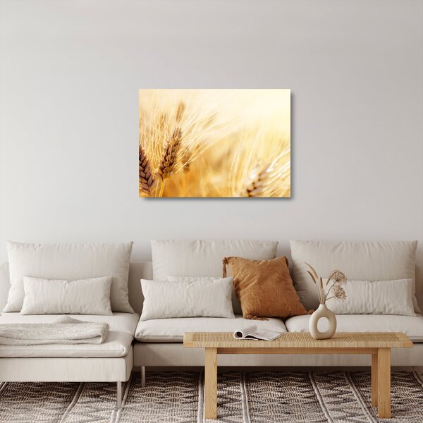 Kép - részlet gabona (üvegen) (70x50 cm)