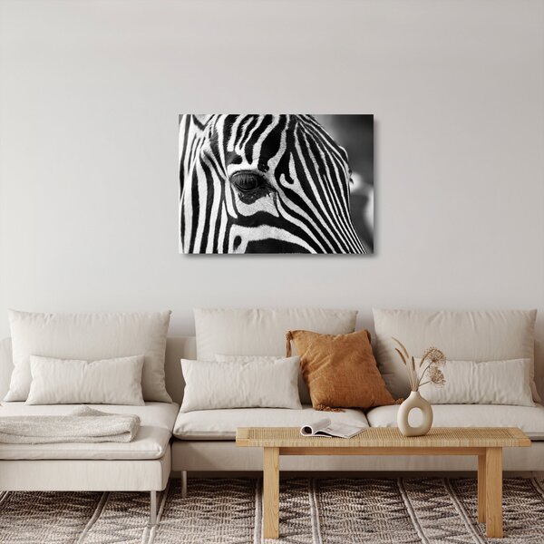 Zebra képe (üvegen) (70x50 cm)