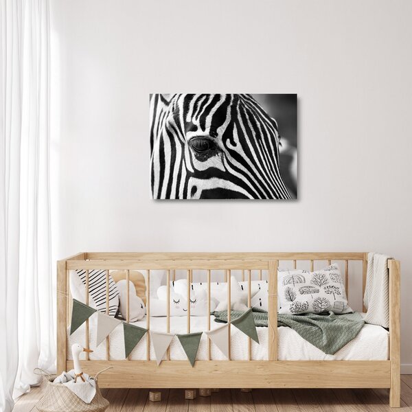 Zebra képe (üvegen) (70x50 cm)