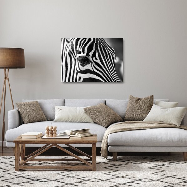 Zebra képe (üvegen) (70x50 cm)