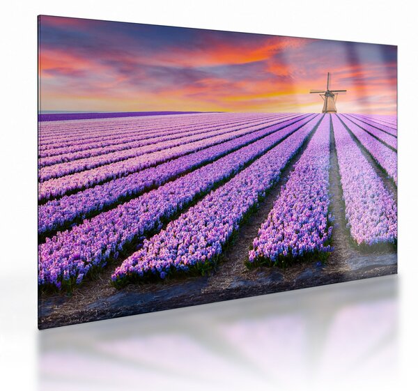 Kép - virágfarm (üvegen) (70x50 cm)