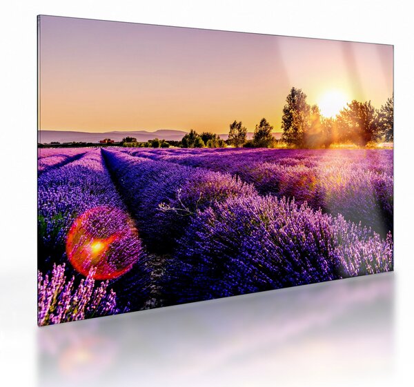 Levandula mező képe (üvegen) (70x50 cm)