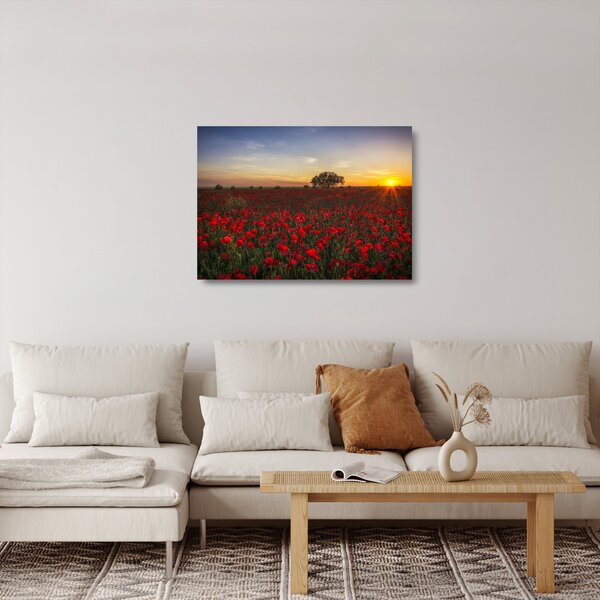 Pipacsos rét képe (üvegen) (70x50 cm)