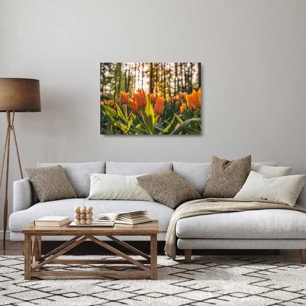 Narancssárga tulipán képe (üvegen) (70x50 cm)