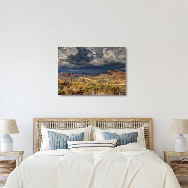 Kép - kaktuszok a természetben (üvegen) (70x50 cm)